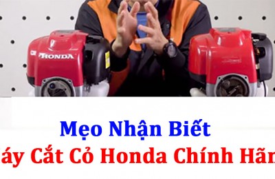 Mẹo giúp nhận biết hàng chính hãng máy cắt cỏ Honda