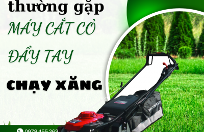 Những lỗi thường gặp ở máy cắt cỏ đẩy tay chạy xăng và cách khắc phục