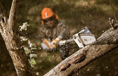 Các loại dụng cụ cắt cành trên cao tiện lợi, giá rẻ