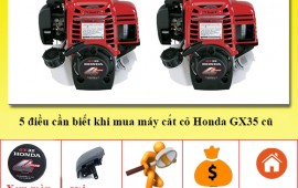 5 điều không thể bỏ qua khi mua máy cắt cỏ Honda GX35 cũ